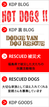 KDP