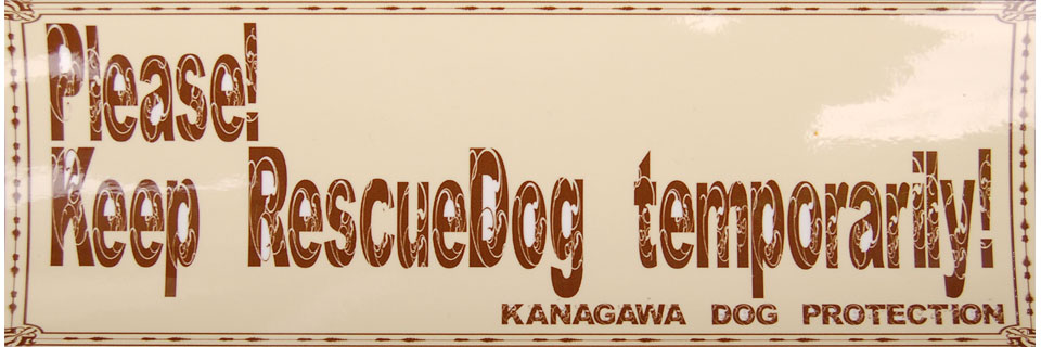kdp-logo