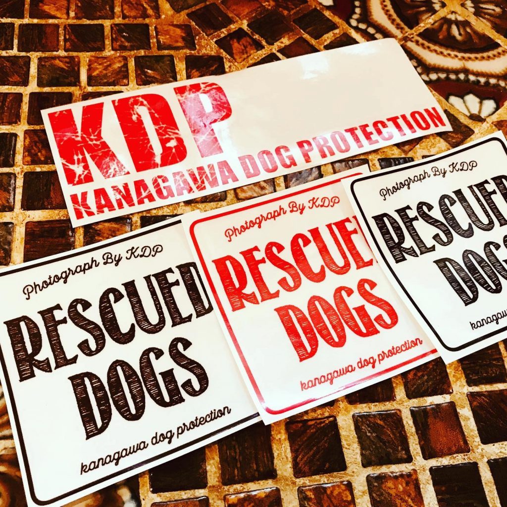 KDP official Charity bumper Sticker!